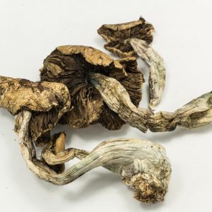 legal psychedelics for sale usa