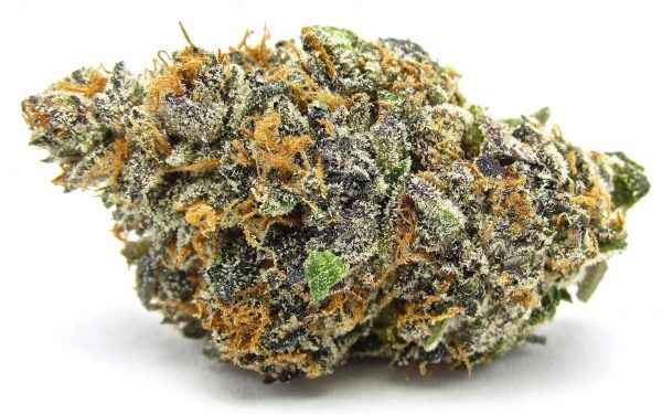 Buy Purple Mimosa Strain and Get 35% Discount