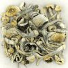 Buy golden teacher dried mushroom
